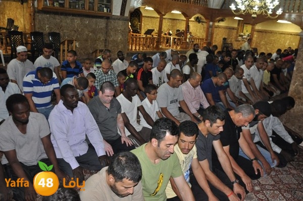 trawe7 mahmodiya 713 (46).JPG